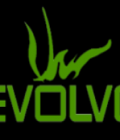 evolvoconsulenze