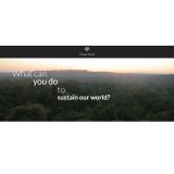 Nebula_Specialisti del Marketing