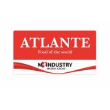 Zorba Brizzi Filmmaker