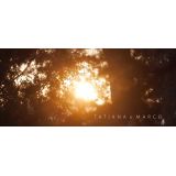 Zorba Brizzi Filmmaker