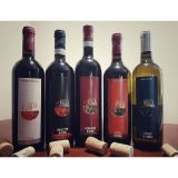 Petricore Communication Design