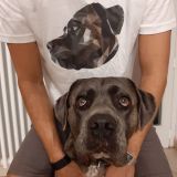 Petricore Communication Design