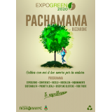 Russo Graphic Designer