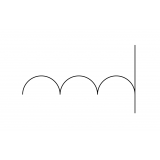 Priscilla Cicciarelli