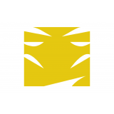 Priscilla Cicciarelli