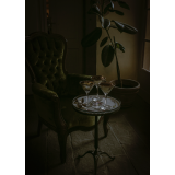 CamillaVisualStoryteller