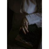 CamillaVisualStoryteller