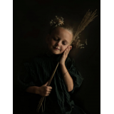 CamillaVisualStoryteller