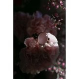 CamillaVisualStoryteller