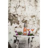 IVS PHOTOGRAPHY&STYLING