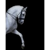 Lightcolor Photography