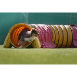 Lightcolor Photography