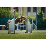 Lightcolor Photography