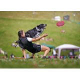 Lightcolor Photography