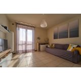 Lightcolor Photography