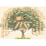 Maggie Graphic grafico