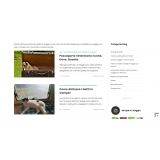 Nicholas Kyle Chiaramonte