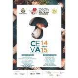 ElisabettaOrsiGraphic