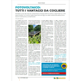 Contentwriter_dataentry