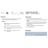 Temporary  Fractional Manager