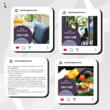 LS Social Media Grafica 