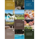 Barbara Beneduce WB Studio