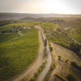 Guido Carpi Dronexperince 