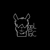 MatteoSpagnolGrafico