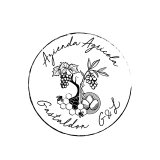 MatteoSpagnolGrafico