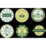 Michela Berardinelli