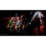 Con gli occhi di Altair