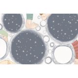 Chiarapis_illustrations