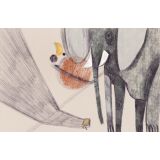 Chiarapis_illustrations