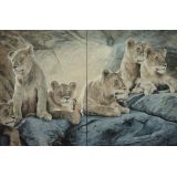  Studio Legale Caltagirone & Lazzaroni 