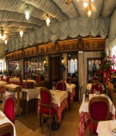 Luca Ferrarese Web Master