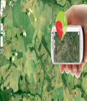 Hednei Marangoni Junior