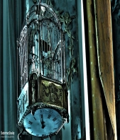 Sabrina Stella Graphic Design